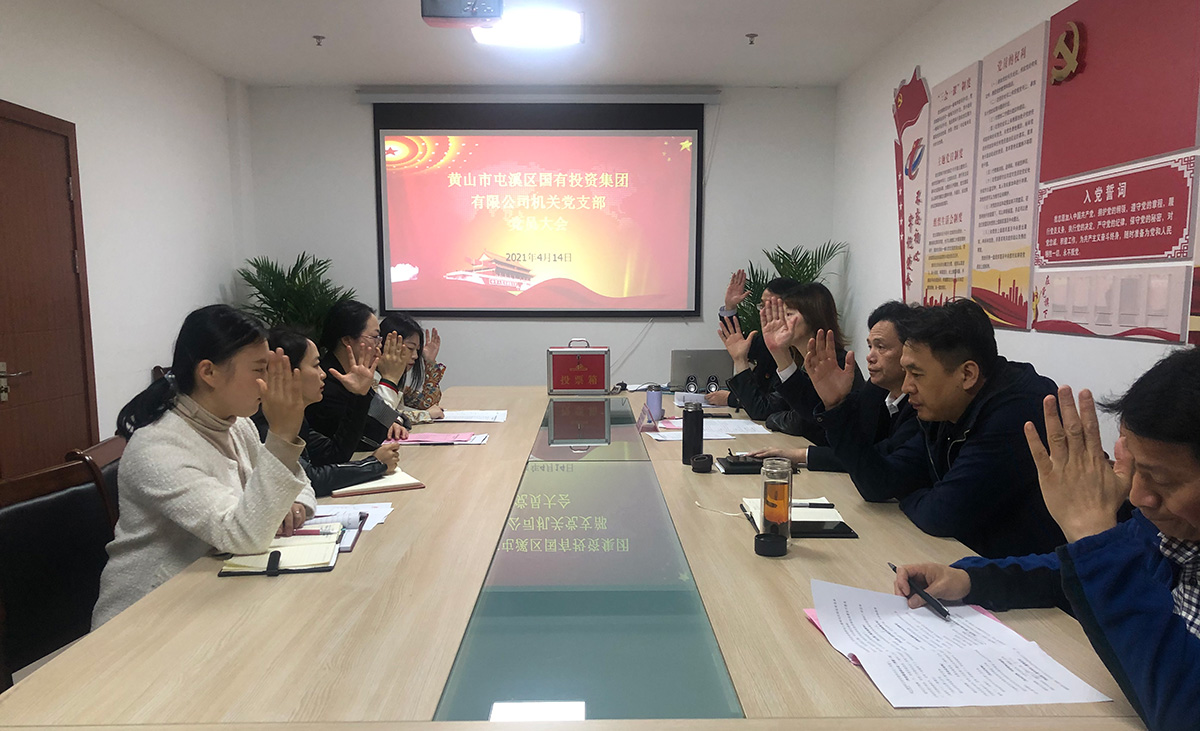 屯溪區國投集團機關黨支部成立暨第一屆支部委員會選舉大會勝利召開