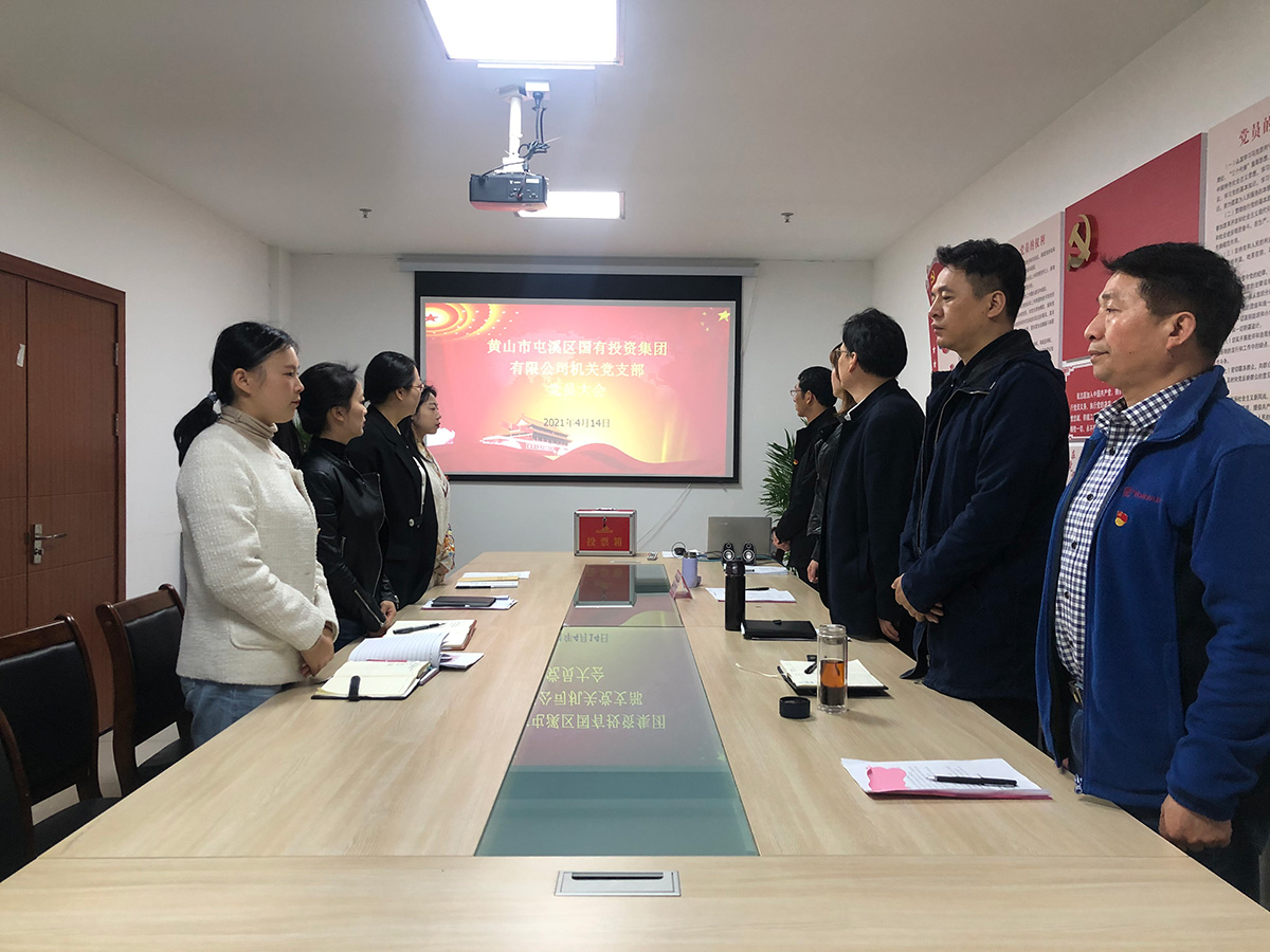 屯溪區國投集團機關黨支部成立暨第一屆支部委員會選舉大會勝利召開