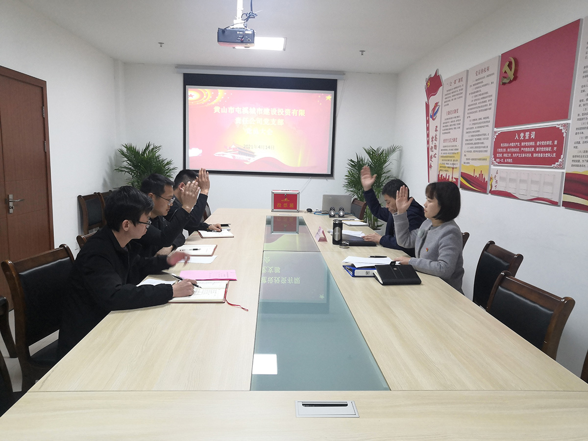 屯溪區國投集團機關黨支部成立暨第一屆支部委員會選舉大會勝利召開