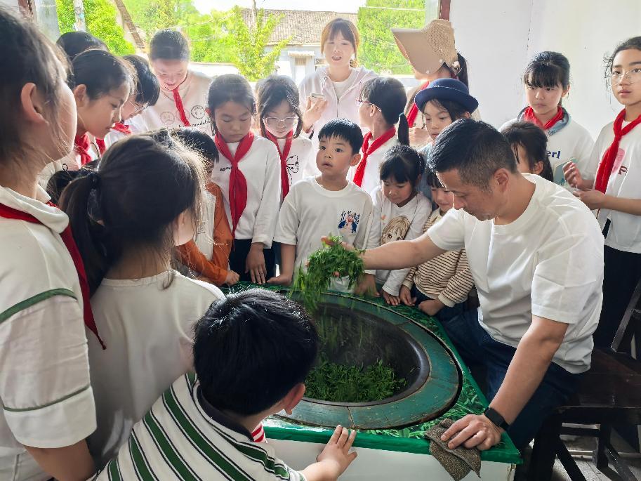 區關工委組織學生到實驗茶場開展茶文化主題實踐活動