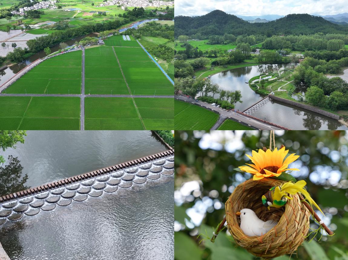 國企賦能鄉村振興 光影點亮文旅新篇